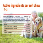 Probiotic Chews for Pets - Custom Digestive Health Supplement Factory