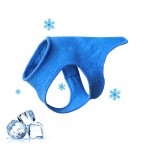 Dog Cooling Vest - Summer Breathable Pet Jacket