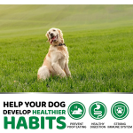 No Poo Chews - Probiotic Pet Supplement