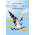 Pigeon Electrolyte Supplement - High Protein Powder Formula