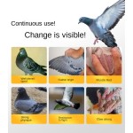 Pigeon Electrolyte Supplement - High Protein Powder Formula