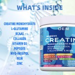 Creatine Monohydrate Powder - Instant Energy Recovery Formula