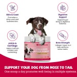 Pet Digestion Supplement - Stomach Stool Support