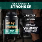 Whey Protein Powder - Pure Weight Gain Supplement