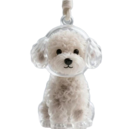 Pet Hair Capsule Keychain - Souvenir Gift Item