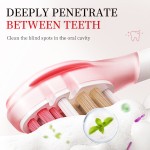 Toothpaste Manufacturer - Stain Removal Oral Care Loosening Agent