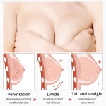 Bust Enhancement Cream Manufacturer - OEM Herbal Firming Lifting