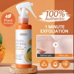 Body Exfoliator Factory - Cleansing Nourishing Gentle Scrub