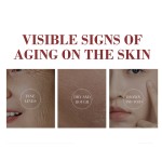 Anti Wrinkle Cream Factory - Fine Lines Lift Tighten Moisturize