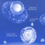 Night Face Cream Manufacturer - Private Label Collagen Brightening