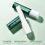 Lip Balm Factory - Custom Logo Exfoliating Moisturizing Private Label