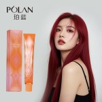 Hair Dye Cream 80g - Japanese Permanent Color Factory