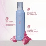Hair Tint Mousse - OEM Fashion Formula Manufacturer