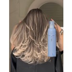 Hair Dye Mousse 250ml - Milk Tea Brown Color