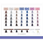 Hair Dye Cream - Precise Pigment Professional Grade