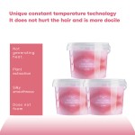 Hair Bleaching Powder 1000g - Purple Fast Fading Formula