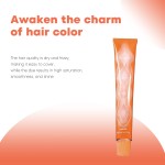 Hair Dye Cream 80g - Japanese Permanent Color Factory