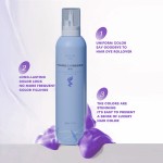 Hair Dye Mousse 250ml - Purple Locking Color