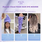 Hair Dye Mousse 250ml - Gray Locking Color