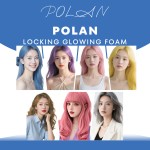 Hair Dye Mousse 250ml - Color Locking Foam Manufacturer