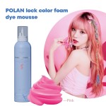 Hair Dye Mousse 250ml - Color Locking Foam Manufacturer