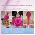 Hair Tint Mousse - OEM Fashion Formula Manufacturer