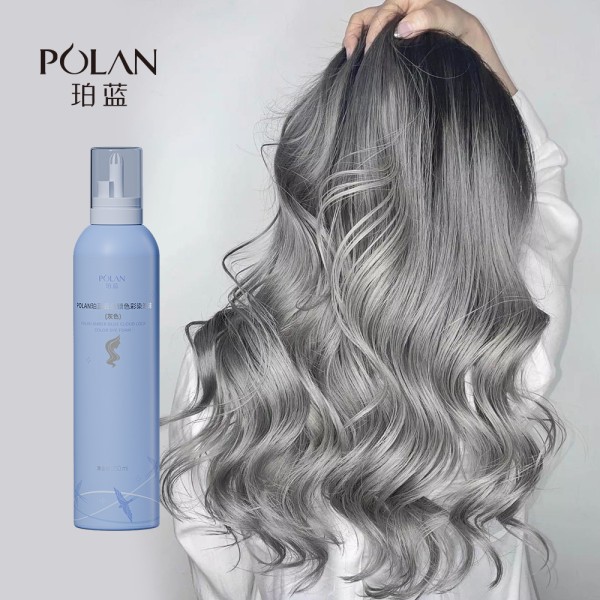 Hair Dye Mousse 250ml - Gray Locking Color
