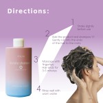 Color Locking Shampoo 500ml - Purple Anti Yellow