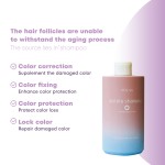 Color Locking Shampoo 500ml - Purple Anti Yellow