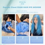 Foam Hair Dye Mousse - Professional True Color
