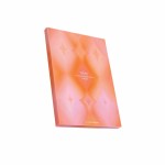 Hair Color Chart Book - 136 Shades Barber Beauty