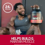 Muscle Gain Powder Manufacturer - Whey Protein Fitness Men Women
