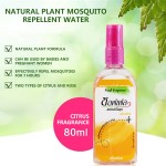 Mosquito Repellent Liquid Factory - Top Quality Insect Repellent
