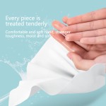 Wet Wipes Factory - 10pcs Portable Infant Hand Mouth Cleaning