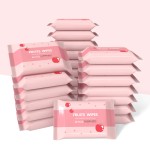Wet Wipes Factory - 10pcs Portable Infant Hand Mouth Cleaning