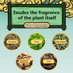 Herbal Mosquito Pack Manufacturer - Wholesale Mites Removal Custom