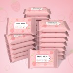 Wet Wipes Factory - 10pcs Portable Infant Hand Mouth Cleaning