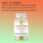 Matcha Green Tea Powder - Ceremonial Grade Extract