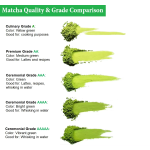 Mango Matcha Powder - Custom Flavored Green Tea