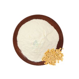 Soybean Lecithin Powder - Organic Food Grade
