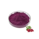 Cranberry Powder - Water Soluble Fruit Extract