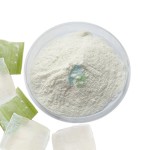 Aloe Vera Powder - Organic Leaf Extract Supplier