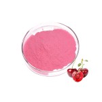 Cherry Powder - Natural Vitamin C Extract