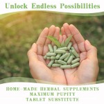 Psyllium Husk Capsules - Natural Extract Supplement