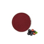 Aronia Berry Powder - Natural Fruit Juice Extract