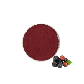 Aronia Berry Powder - Natural Fruit Juice Extract