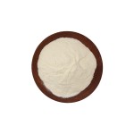 Apple Cider Vinegar Powder - HALAL Food Grade