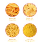 Freeze Dried Mango - OEM Sugar Free Slices