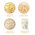 Pineapple Juice Powder - Freeze Dried Flavor