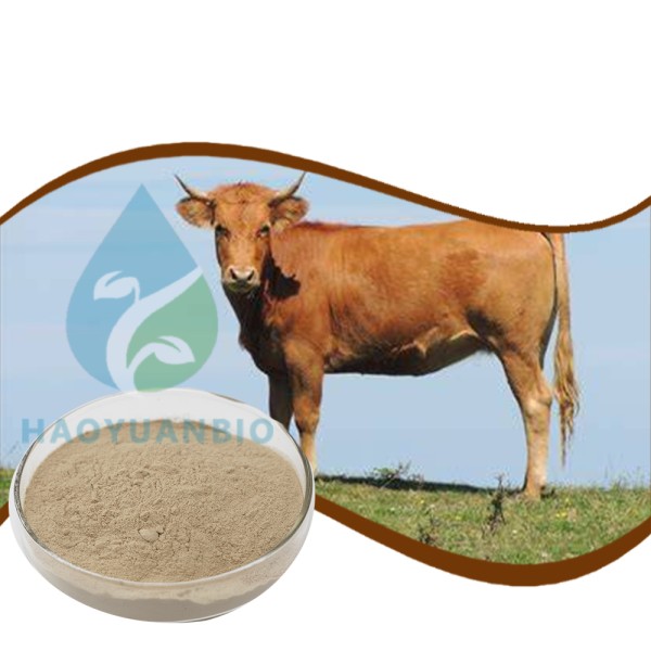 Beef Brain Powder - Bovine Organ Supplement